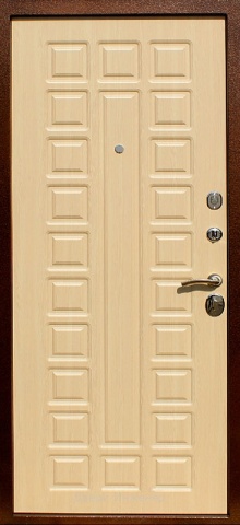 Порошковая дверь DR225